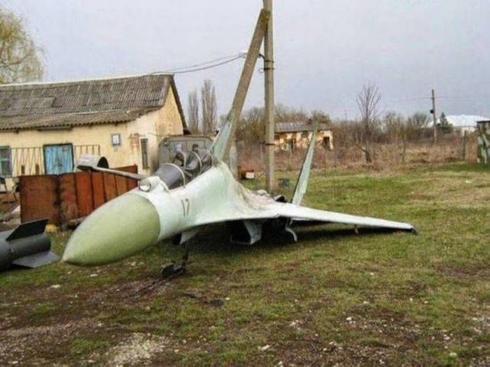 Порция картинок