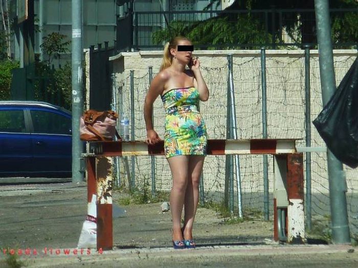 Жрицы любви на рабочем месте