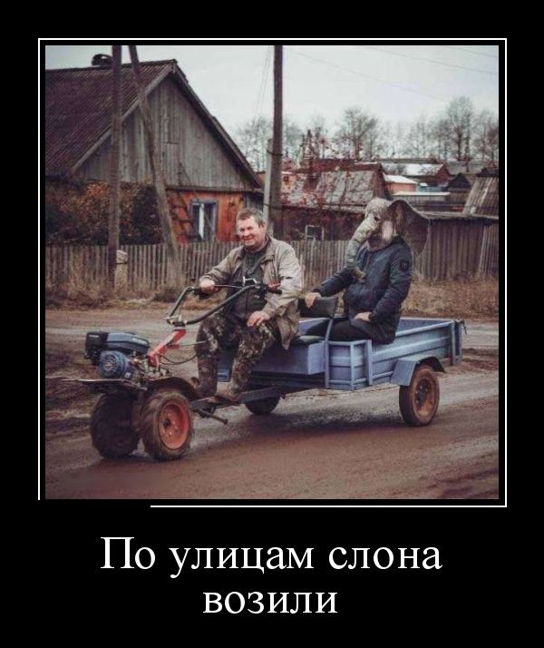 Демотиваторы