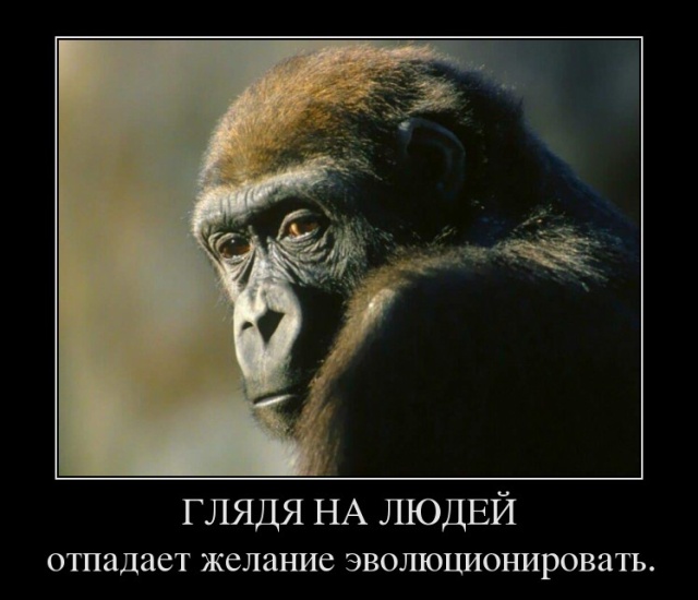 Демотиваторы
