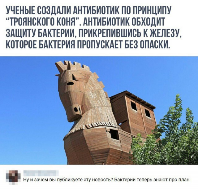 Забавные высказывания и комментарии из социальных сетей