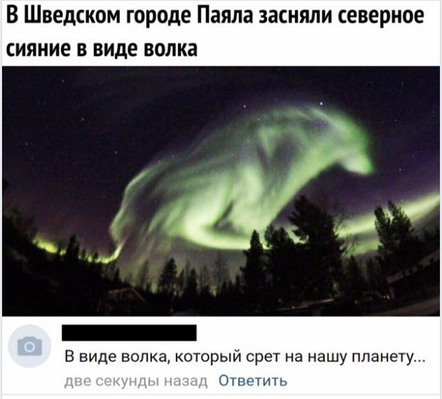 Забавные высказывания и комментарии из социальных сетей