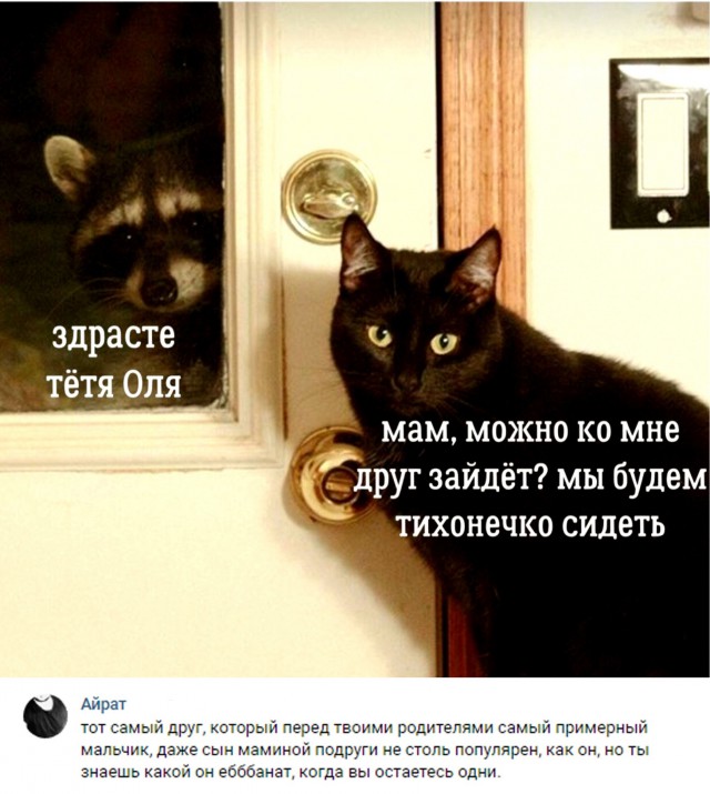 Забавные высказывания и комментарии из социальных сетей