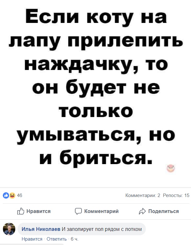 Забавные высказывания и комментарии из социальных сетей