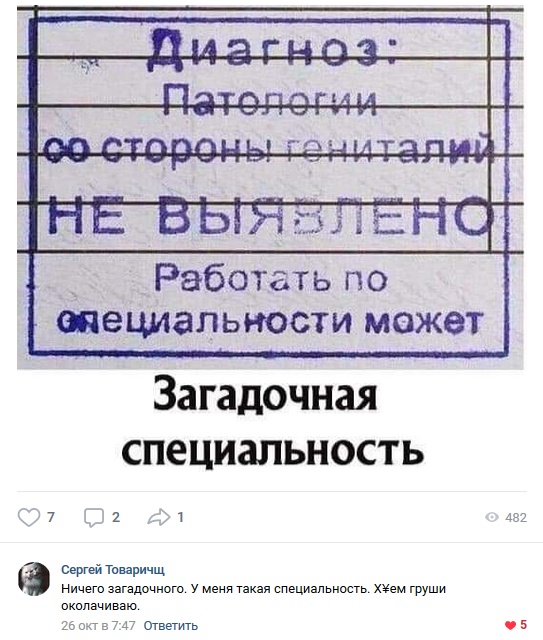 Забавные высказывания и комментарии из социальных сетей