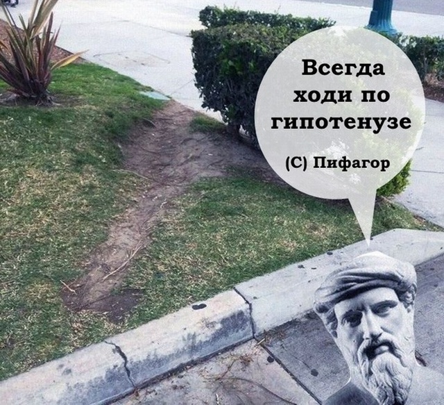 Юмор и высказывания из социальных сетей