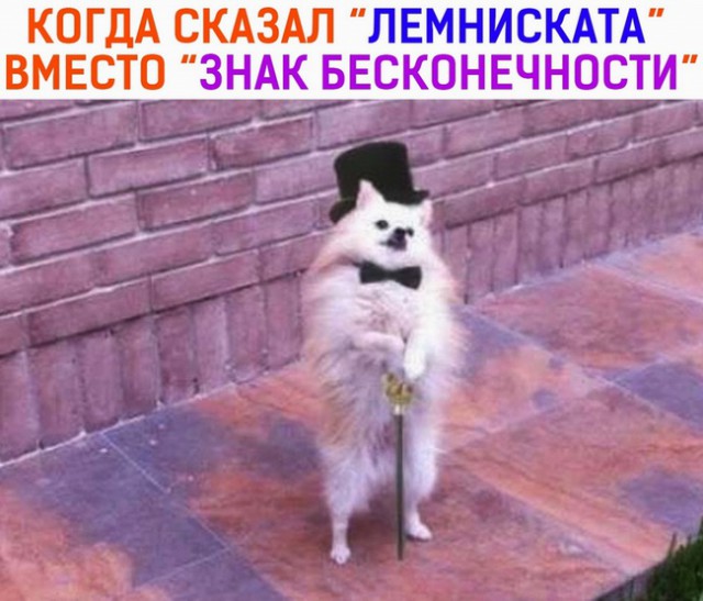 Юмор и высказывания из социальных сетей