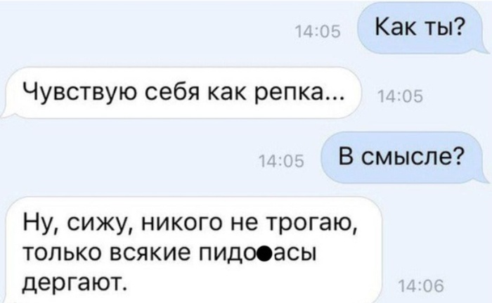 Короткие истории из соцсетей