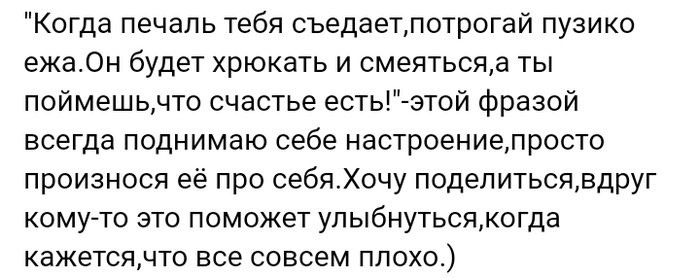 Короткие истории из соцсетей