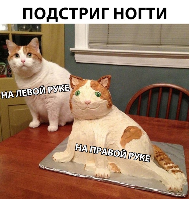 Прикольные картинки