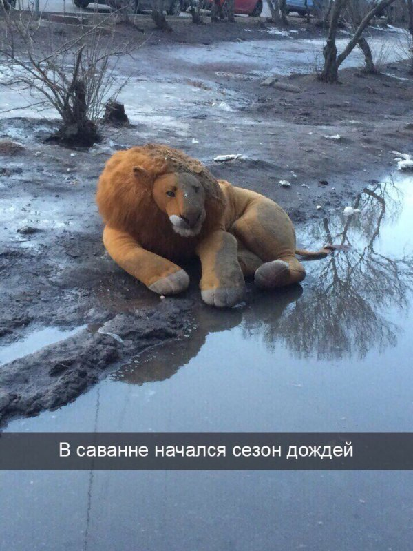 Нестандартный юмор и картинки с просторов сети