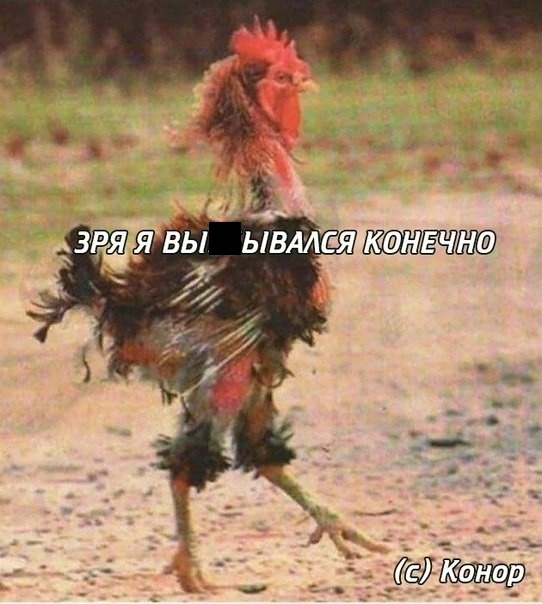 Нестандартный юмор и картинки с просторов сети