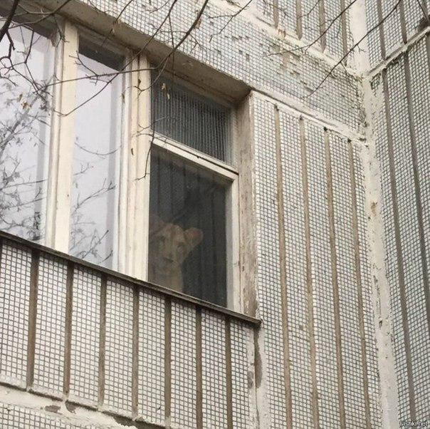 Нестандартный юмор и картинки с просторов сети