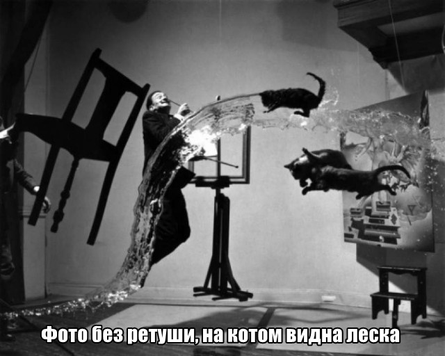 Сенсационные фотографии, которые изменили мир