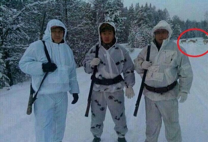 Прикольные картинки