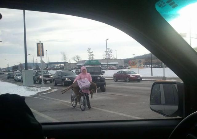 Прикольные картинки