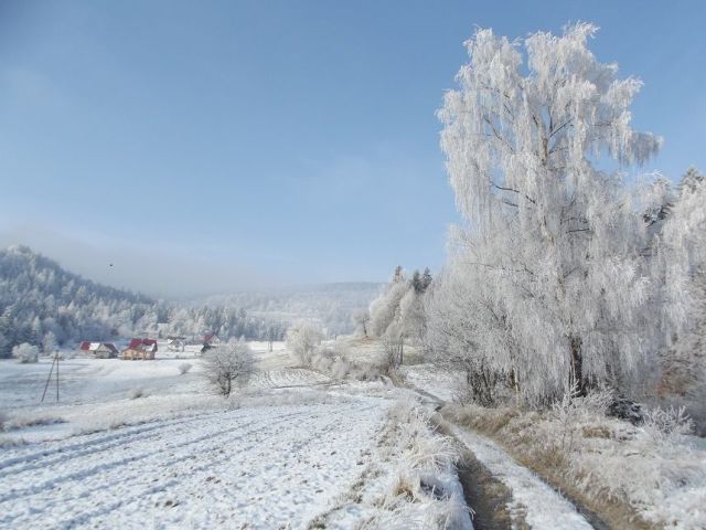 Прикольные картинки (85 фото)