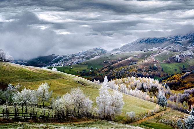 Лучшие фотографии ноября 2014