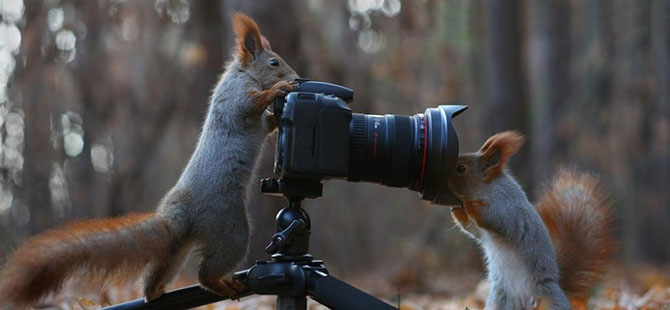 Лучшие фотографии ноября 2014