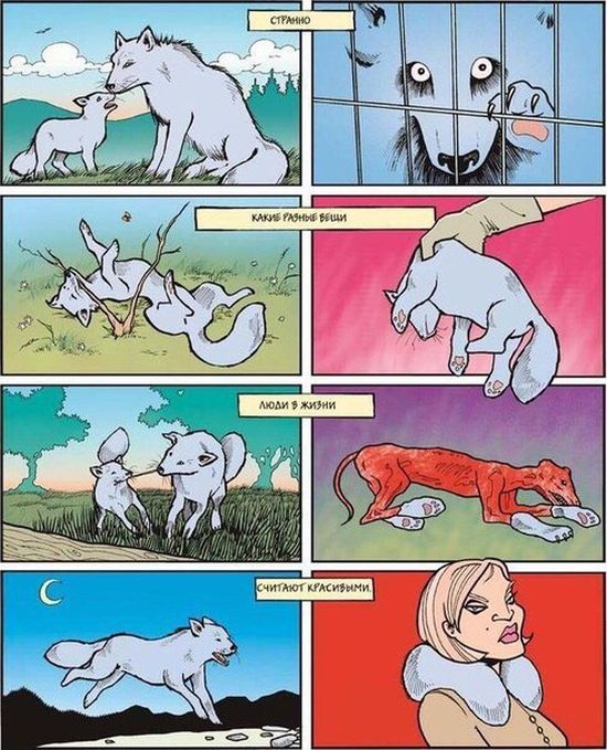 Комиксы