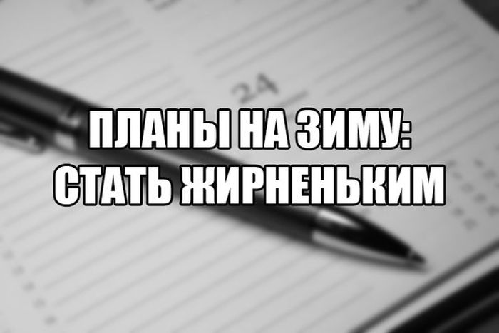 Порция картинок