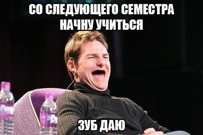 Порция картинок