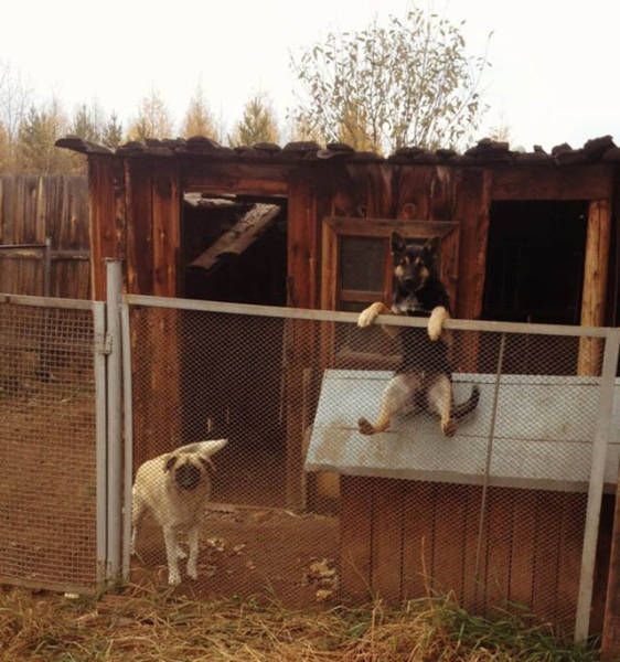 Прикольные картинки