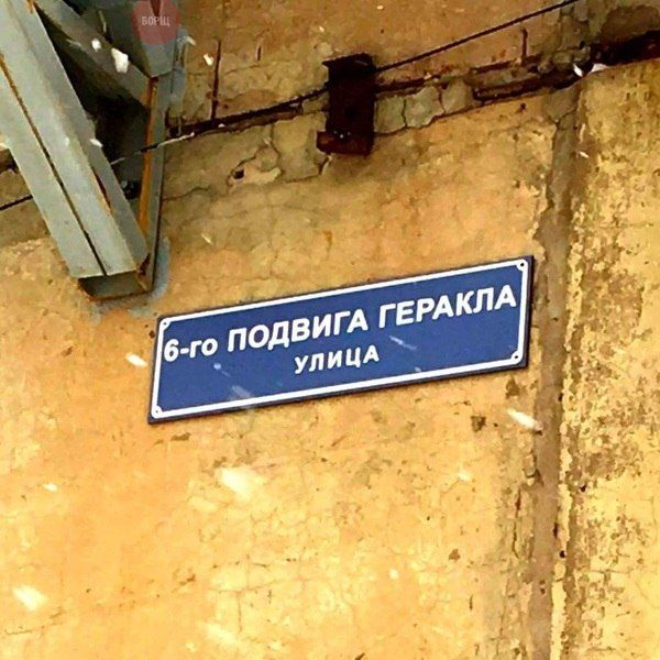 Прикольные картинки