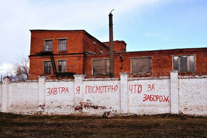 Прикольные картинки