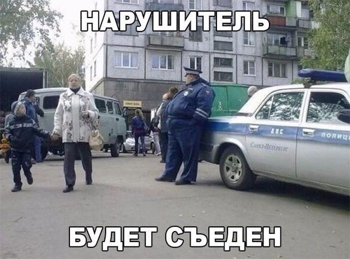 Прикольные картинки