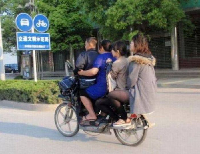Прикольные картинки