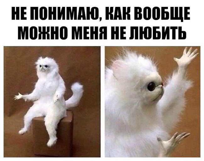 Прикольные картинки