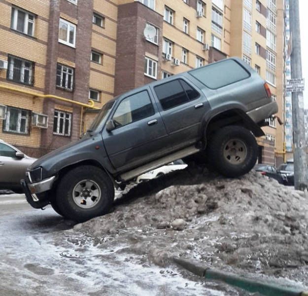 Прикольные картинки