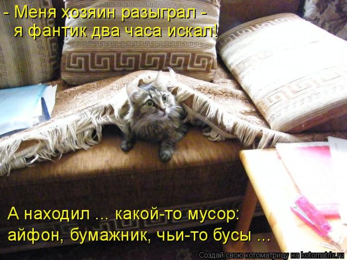 Лучшие котоматрицы недели