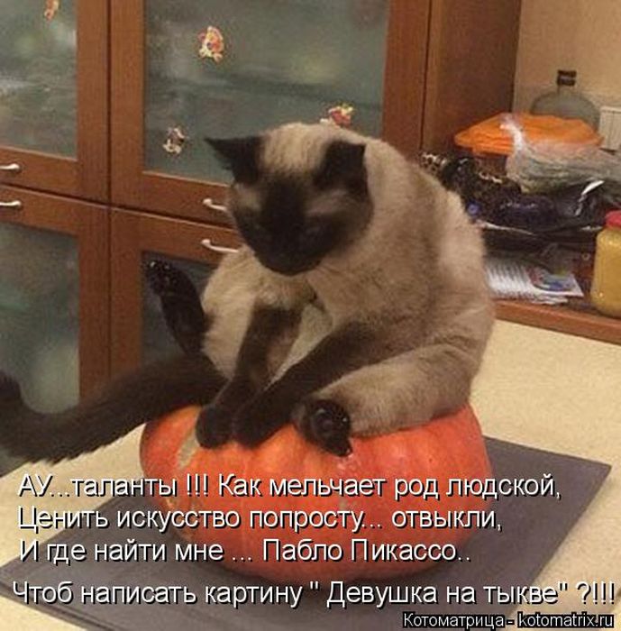 Лучшие котоматрицы недели
