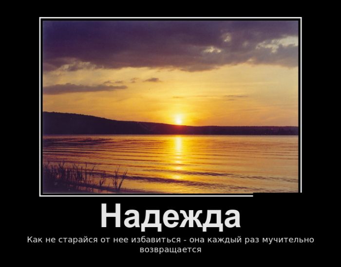 Демотиваторы