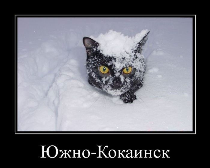 Демотиваторы