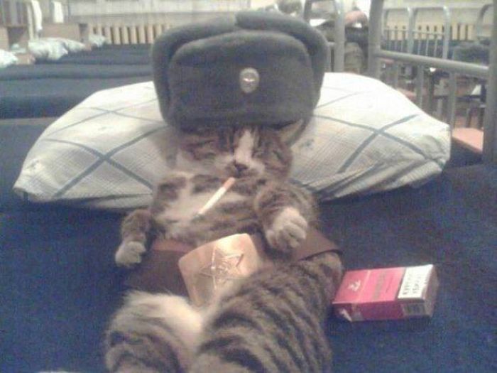 Фото, которые возможно было сделать только в России