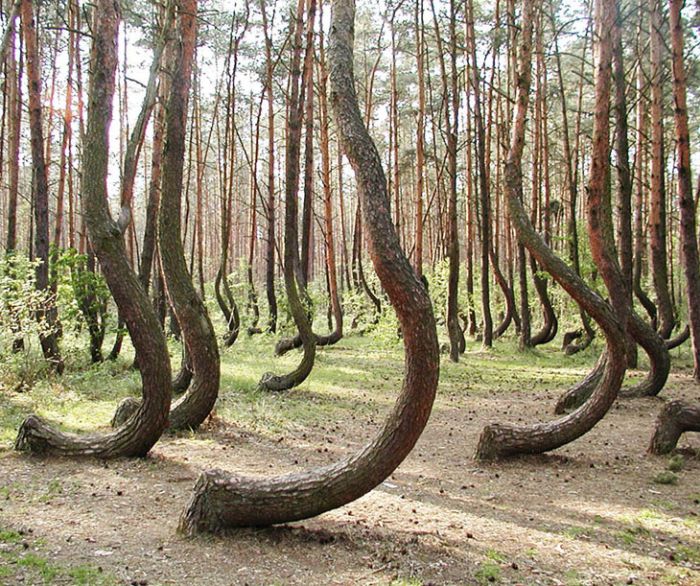 Невероятные реальные фото