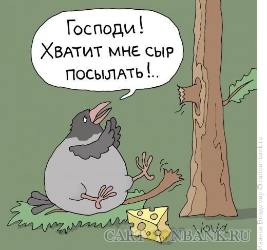 Прикольные картинки (73 фото)