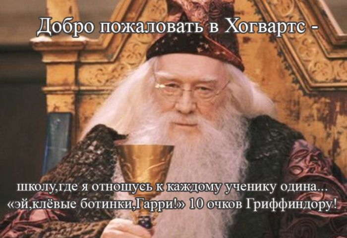 Порция картинок