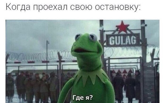 Порция картинок