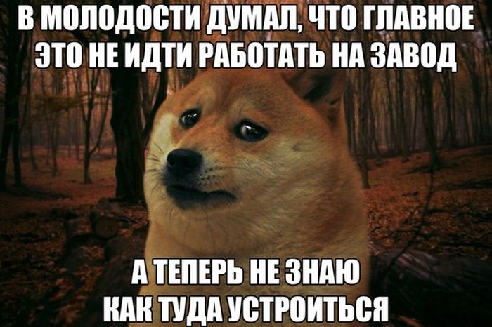 Порция картинок