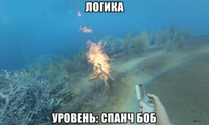 Порция картинок