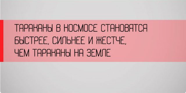 Неожиданные факты о разных аспектах жизни