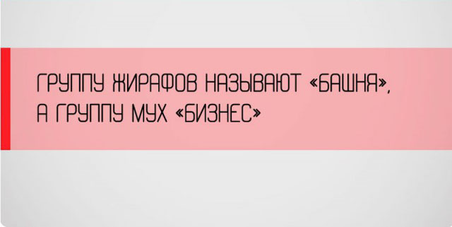Неожиданные факты о разных аспектах жизни
