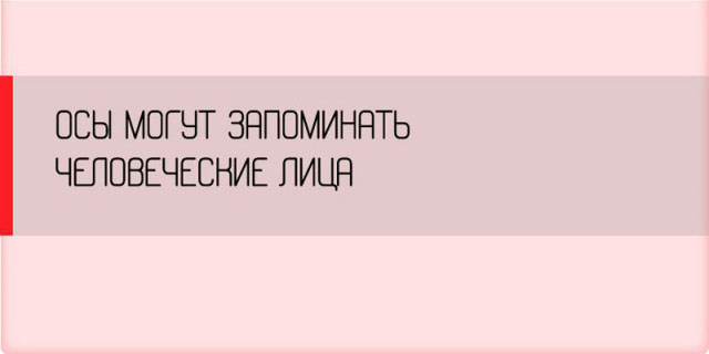 Неожиданные факты о разных аспектах жизни