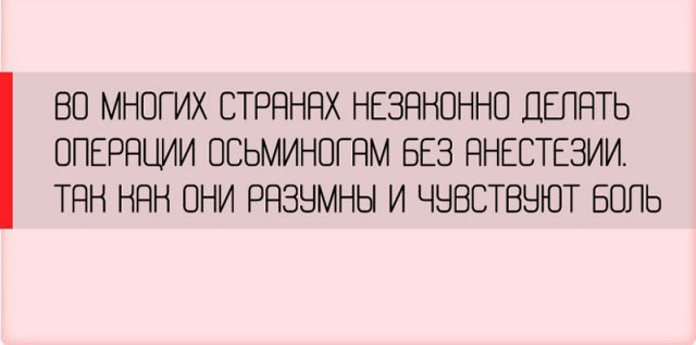 Неожиданные факты о разных аспектах жизни