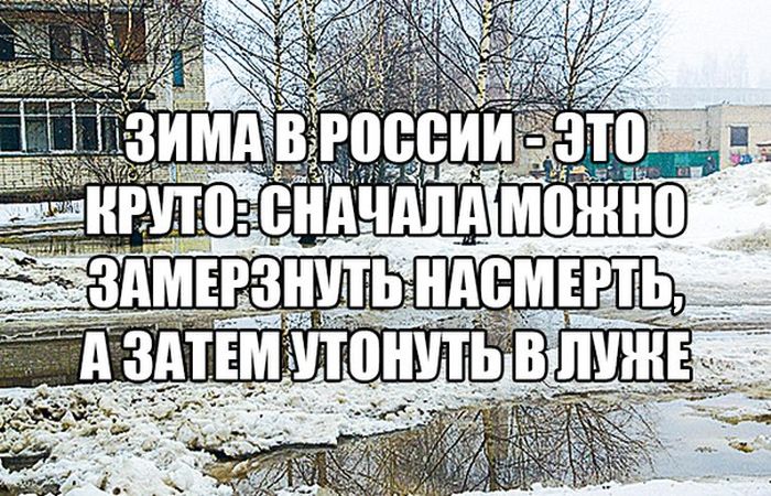 Прикольные картинки
