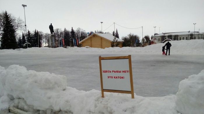 Прикольные картинки